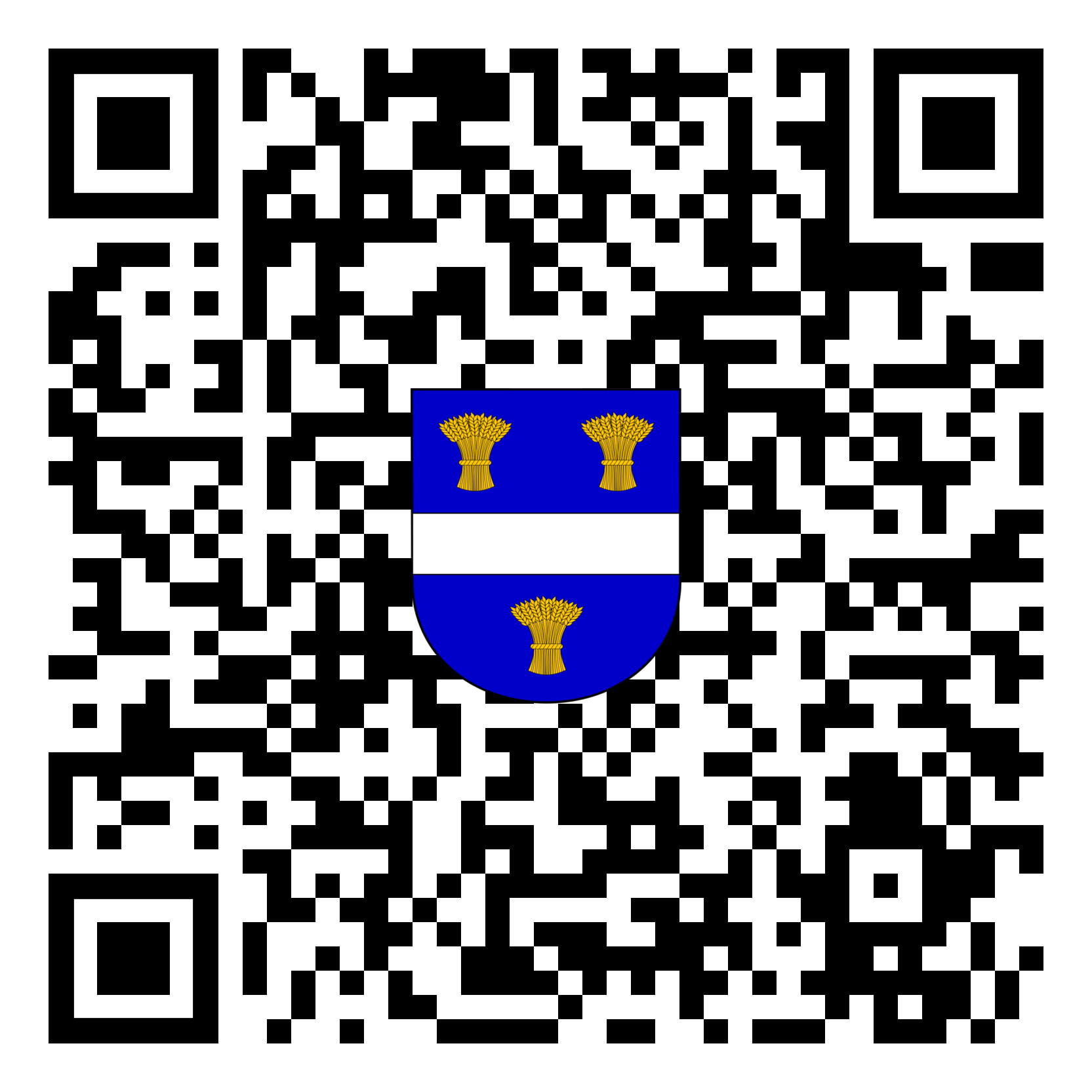 QR_kód_dotazník_se_znakem-1.png