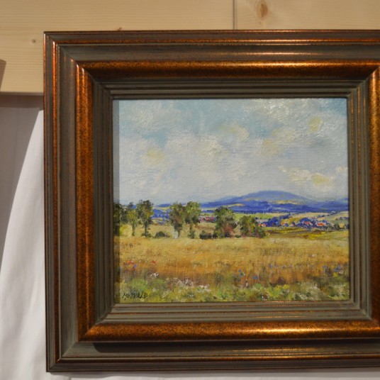 DSC 0407 resize